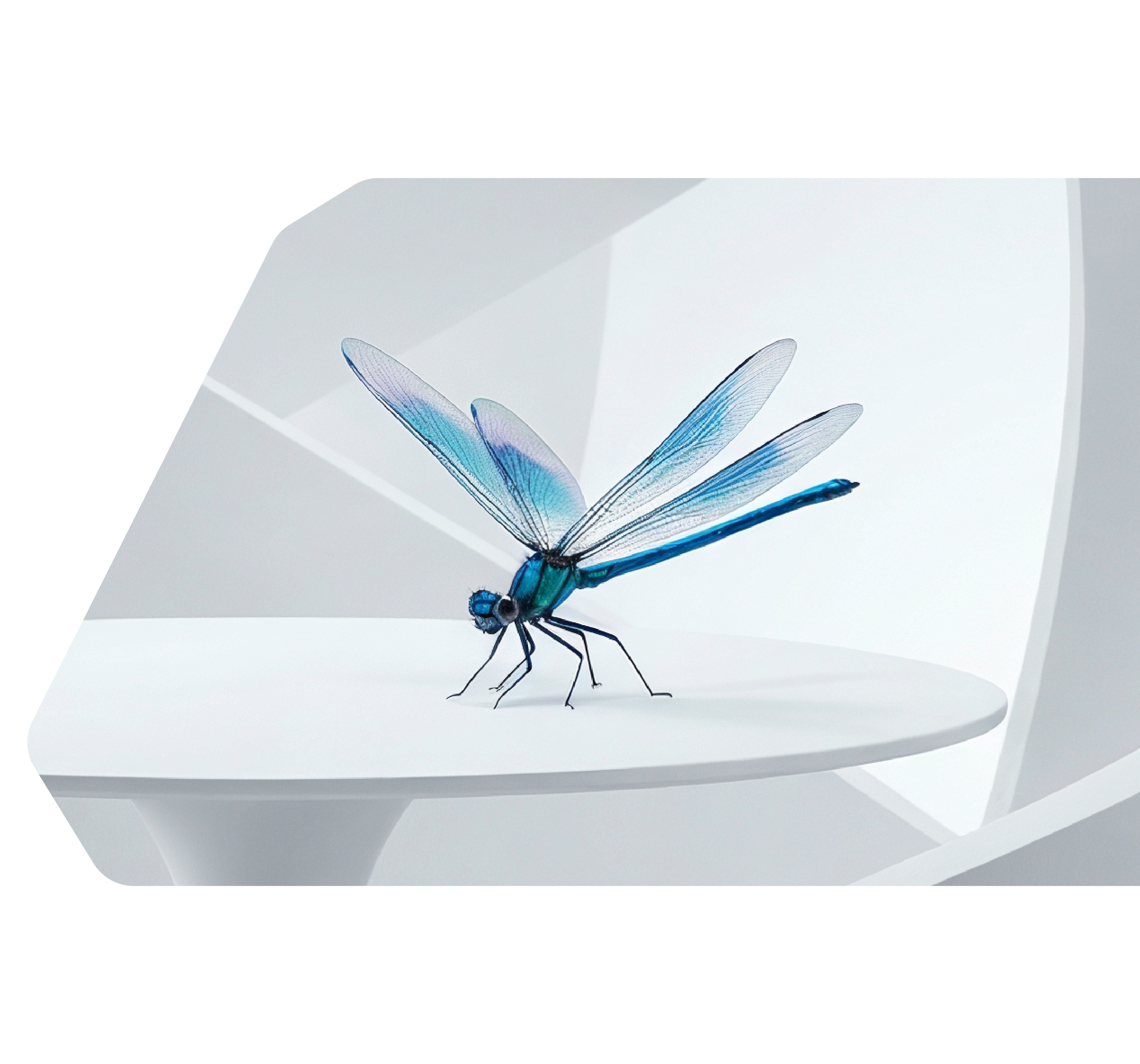 Dragonfly concept - Vision and Precision